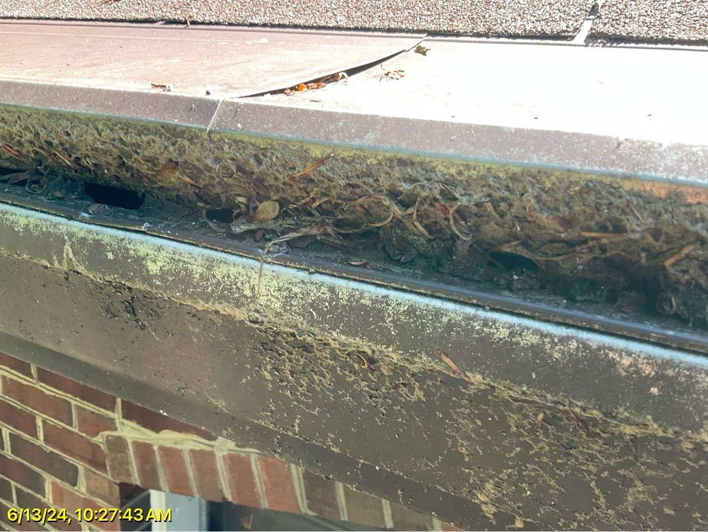 A clogged gutter before cleaning